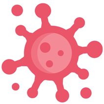 Covid19 Corona Virus